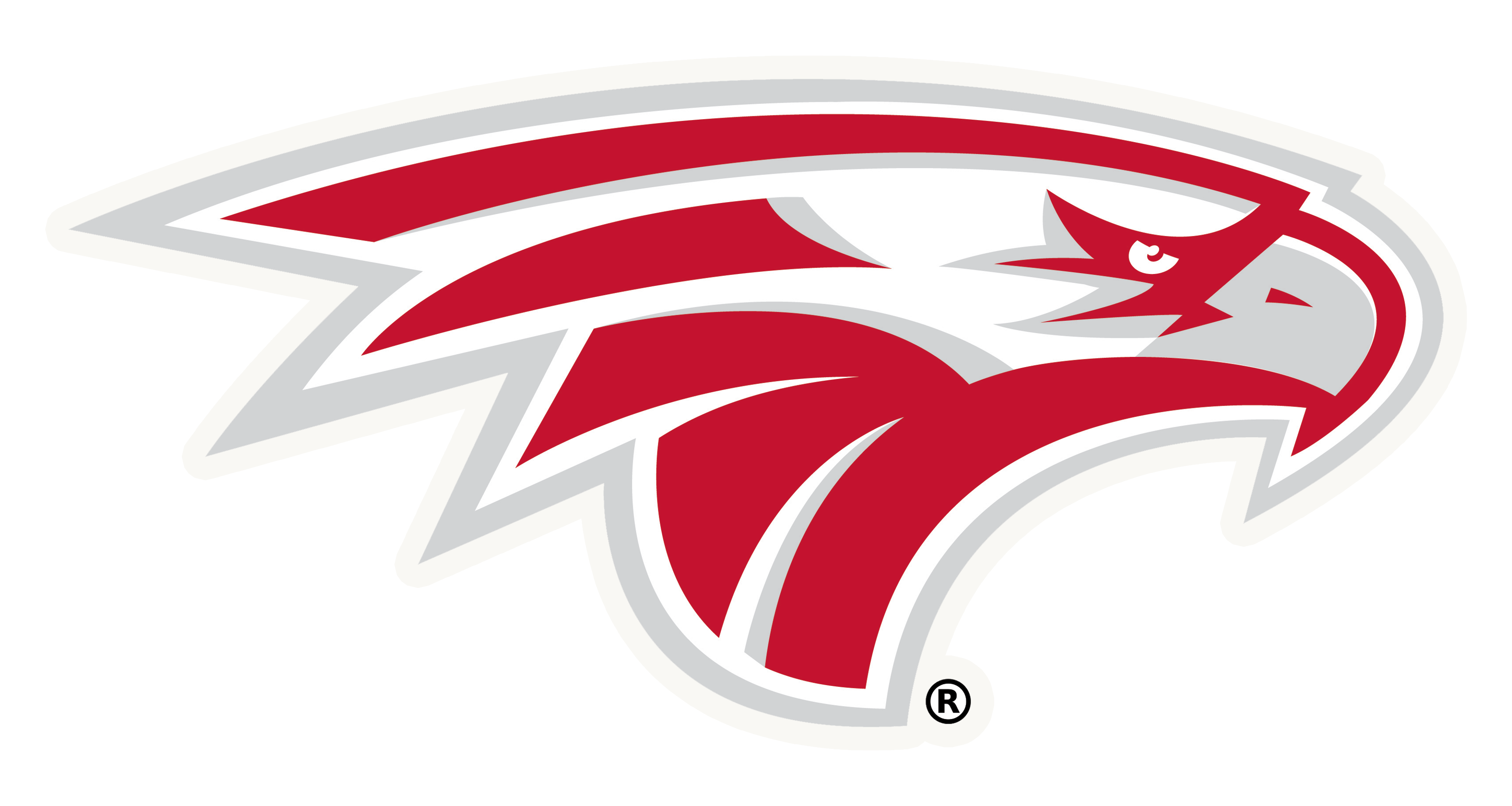 NIXA® Athletics Eagle — Official Athletic Die-Cut Vinyl Decal (Matte)